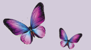 papilllon-Nutripuncture